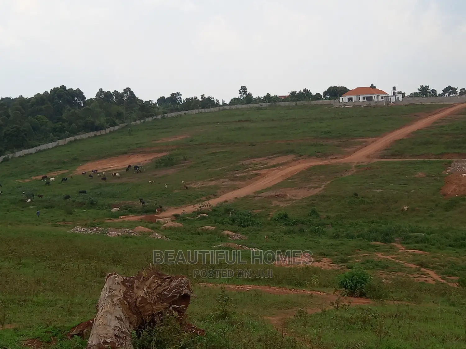 2 Plots at Kasangati Quickest Sell in Central Division
