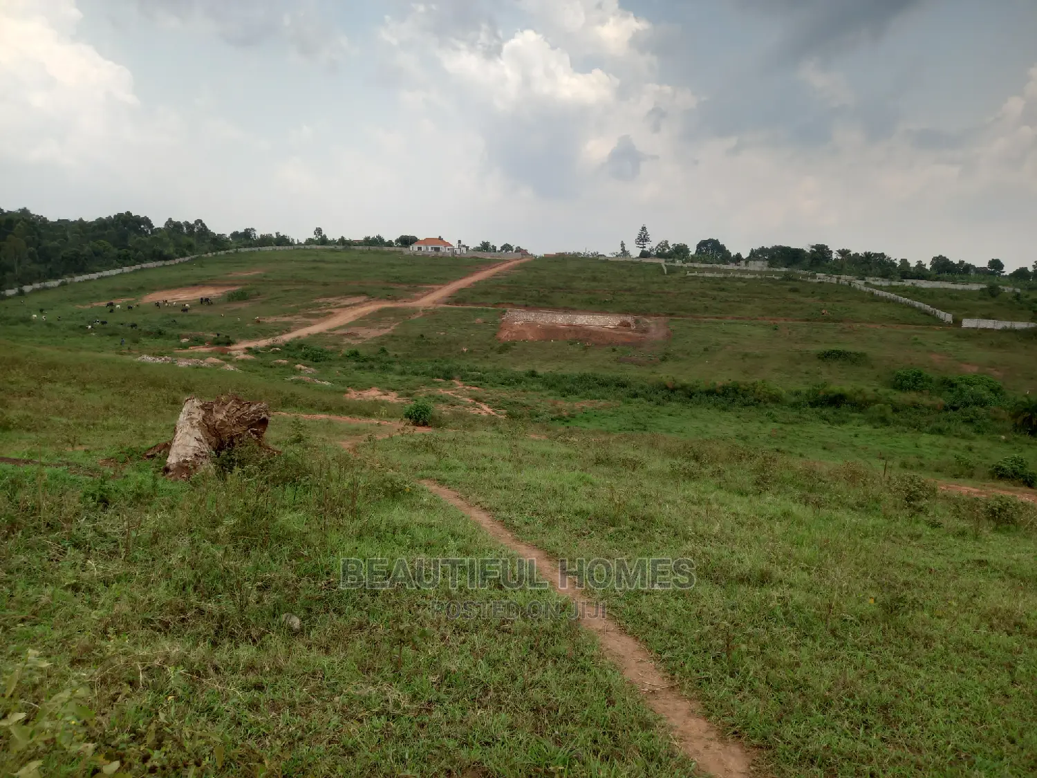 100 by 100 at Kasangati All Gated Esstate in Central Division