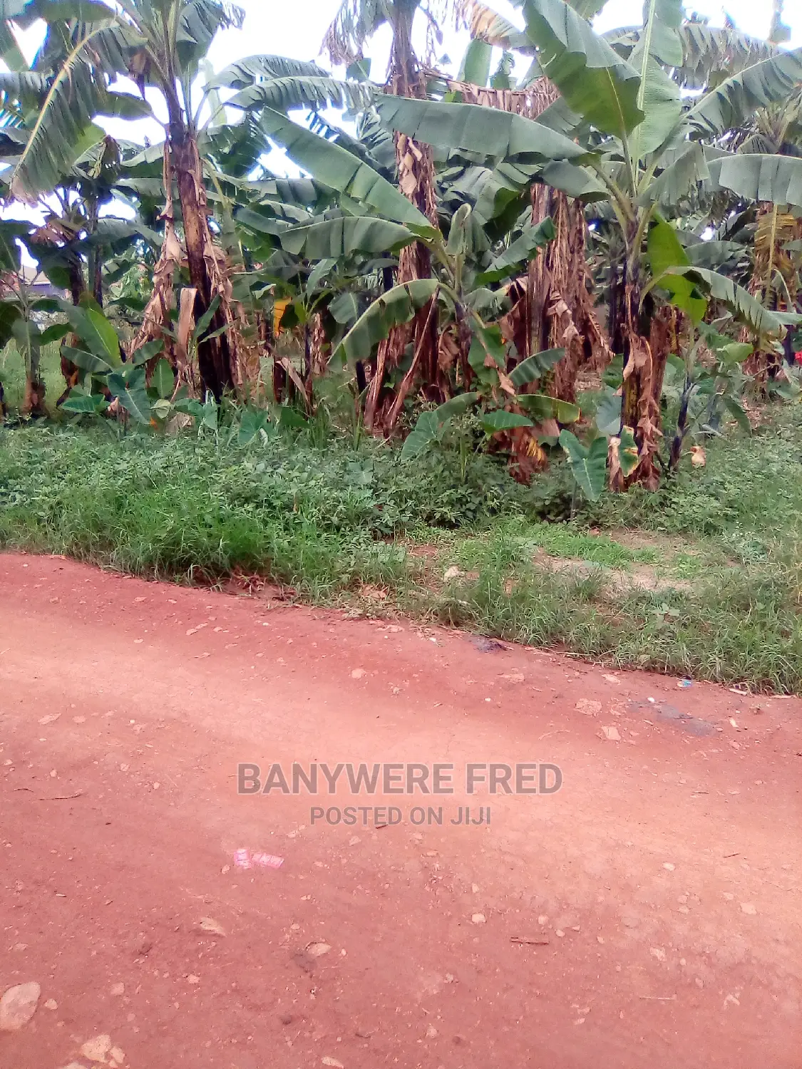 7acres for Sale in Kawonza in Kikyusa