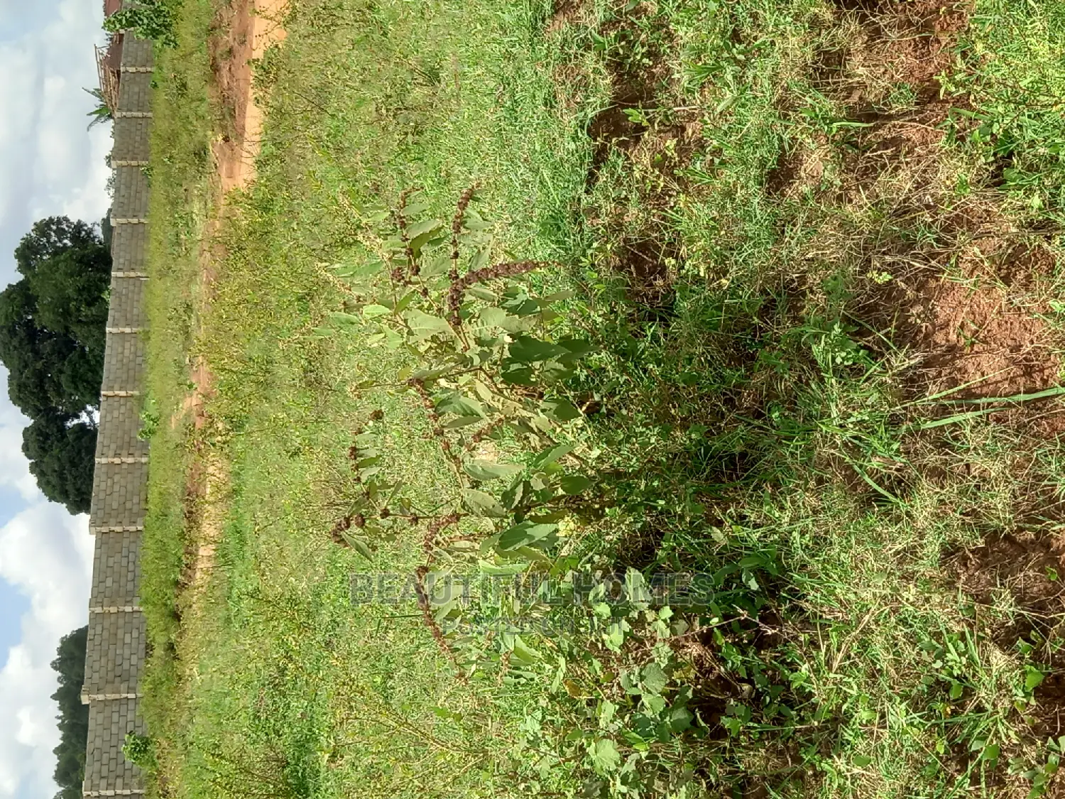 Kasangati 100 by 100 in Gated Tarmack Access Estate in Nangabo