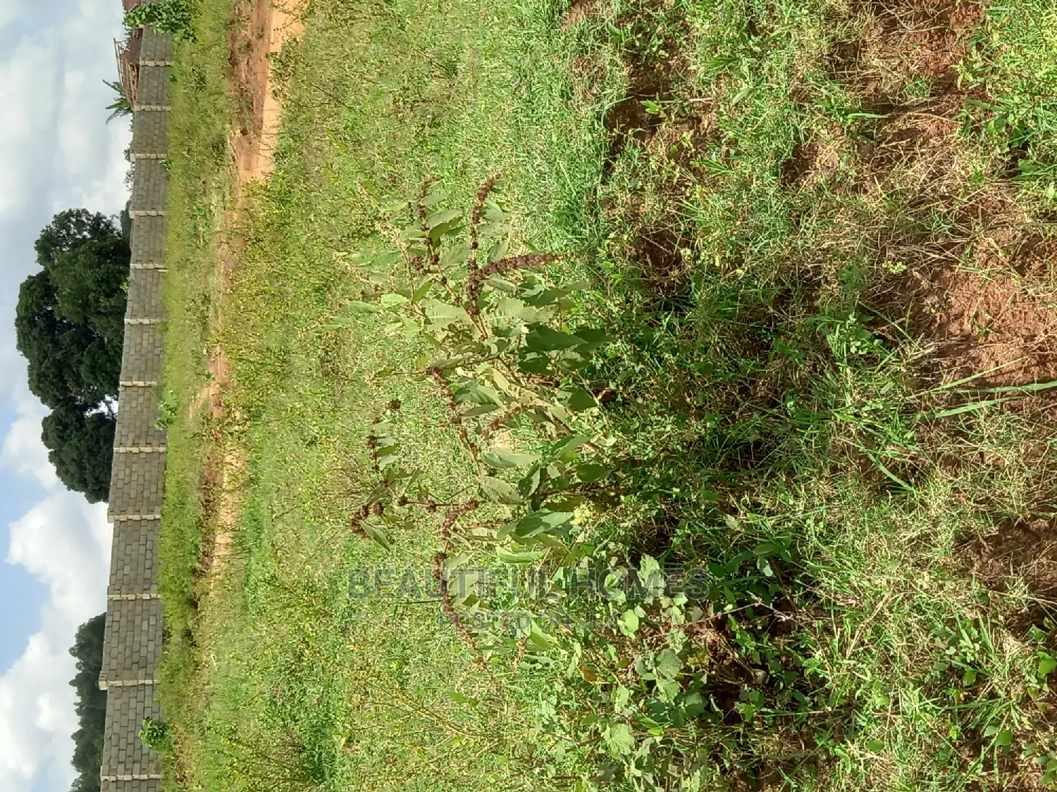 Kasangati 100×100 at Gated Half London Estate on Sell in Nangabo
