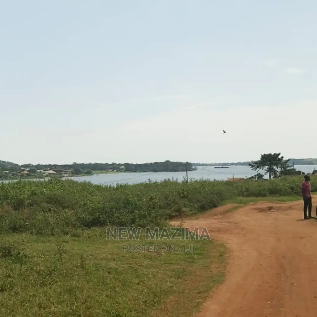 Nkumba Lake Viewing Hot Plots on Quicksale With Ready Title in Division A