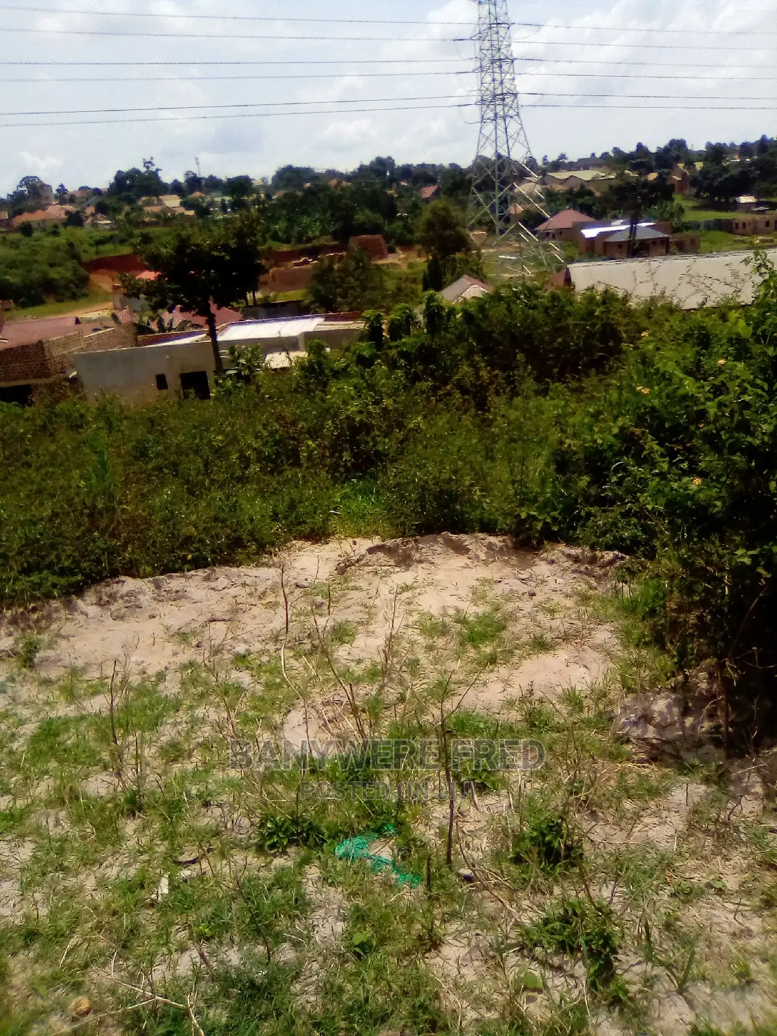 50/100 Plot for Sale in Bugema in Makulubita