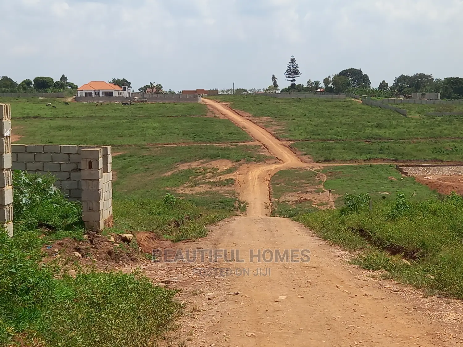 Kasangati 100×100 in Hillview Gated Estate in Nangabo