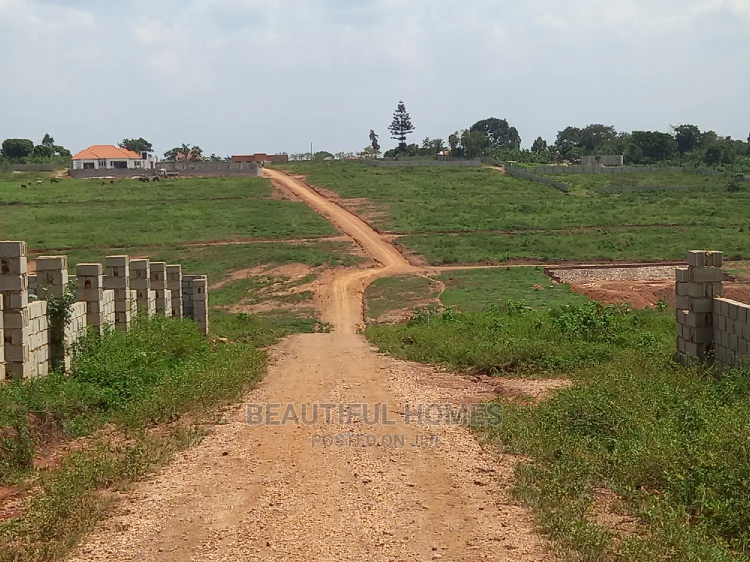 Kasangati 100*100 in Fancy Gated Estate in Nangabo