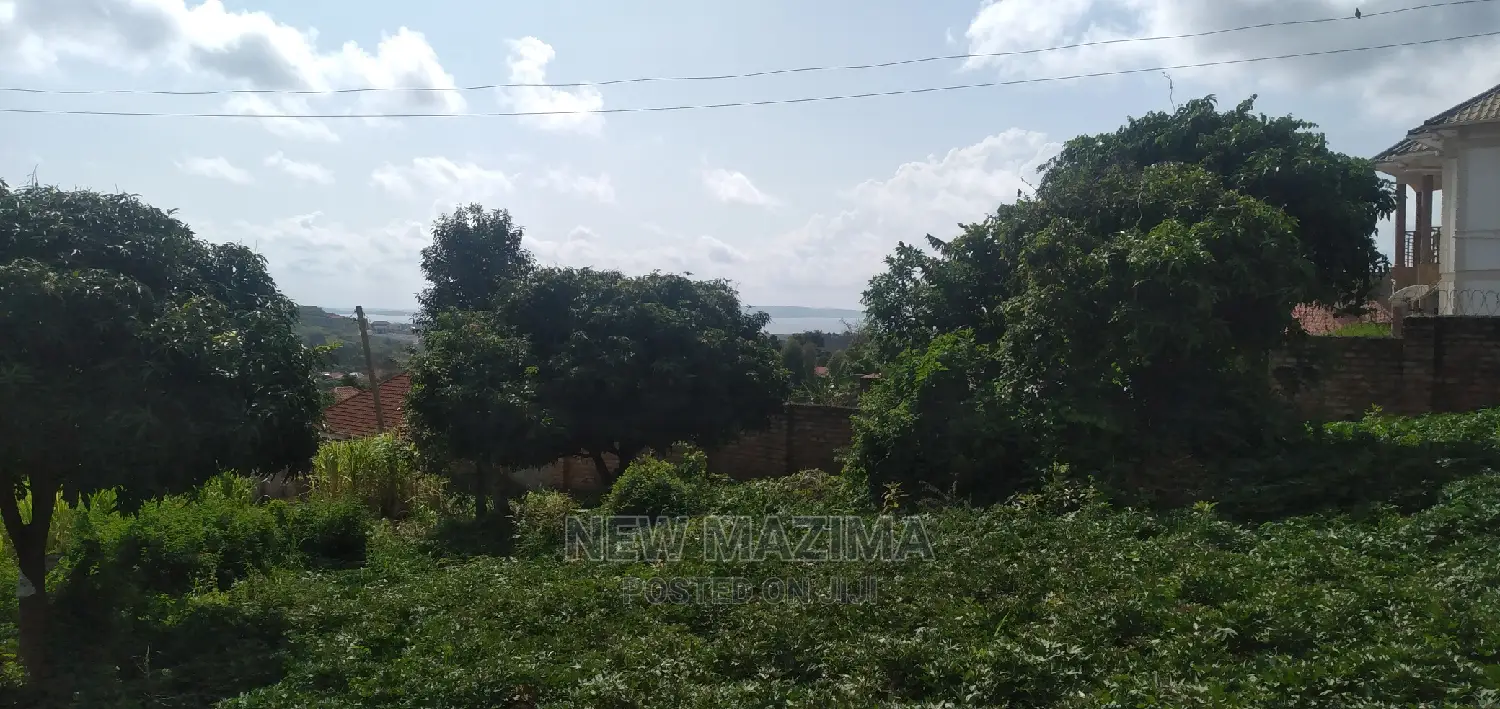 Ntebe Rd Janyi Lake Viewig Plot Quicksale With Private Title in Division A