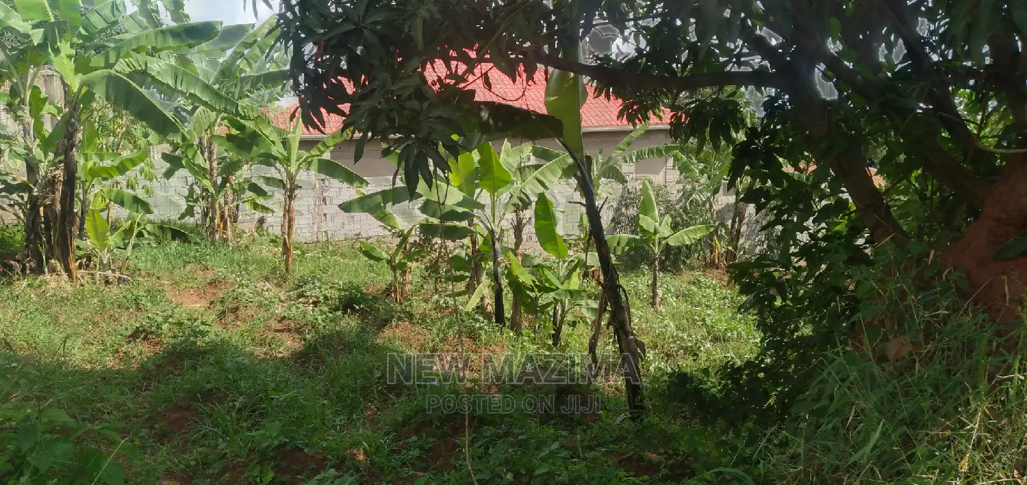 Ntebe Rd Janyi Lake Viewig Plot Quicksale With Private Title in Division A