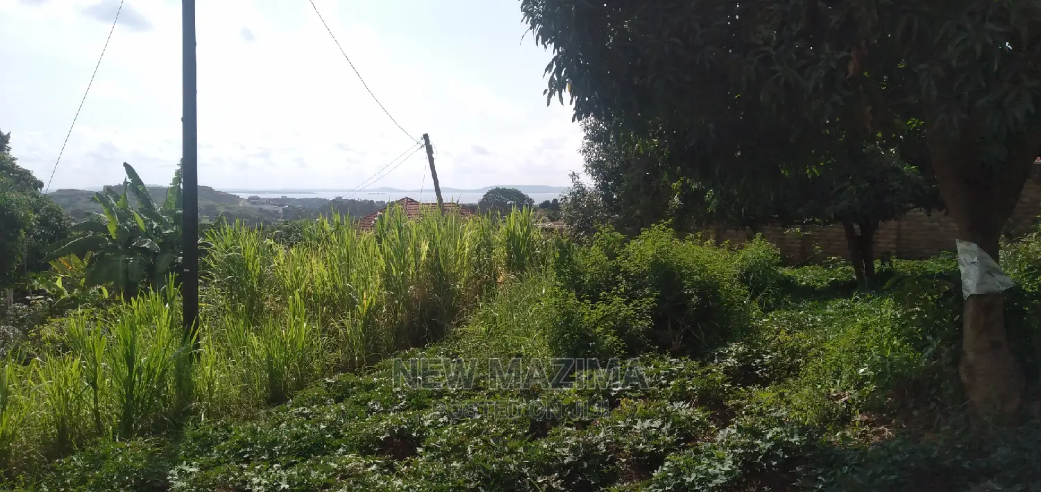 Ntebe Rd Janyi Lake Viewig Plot Quicksale With Private Title in Division A