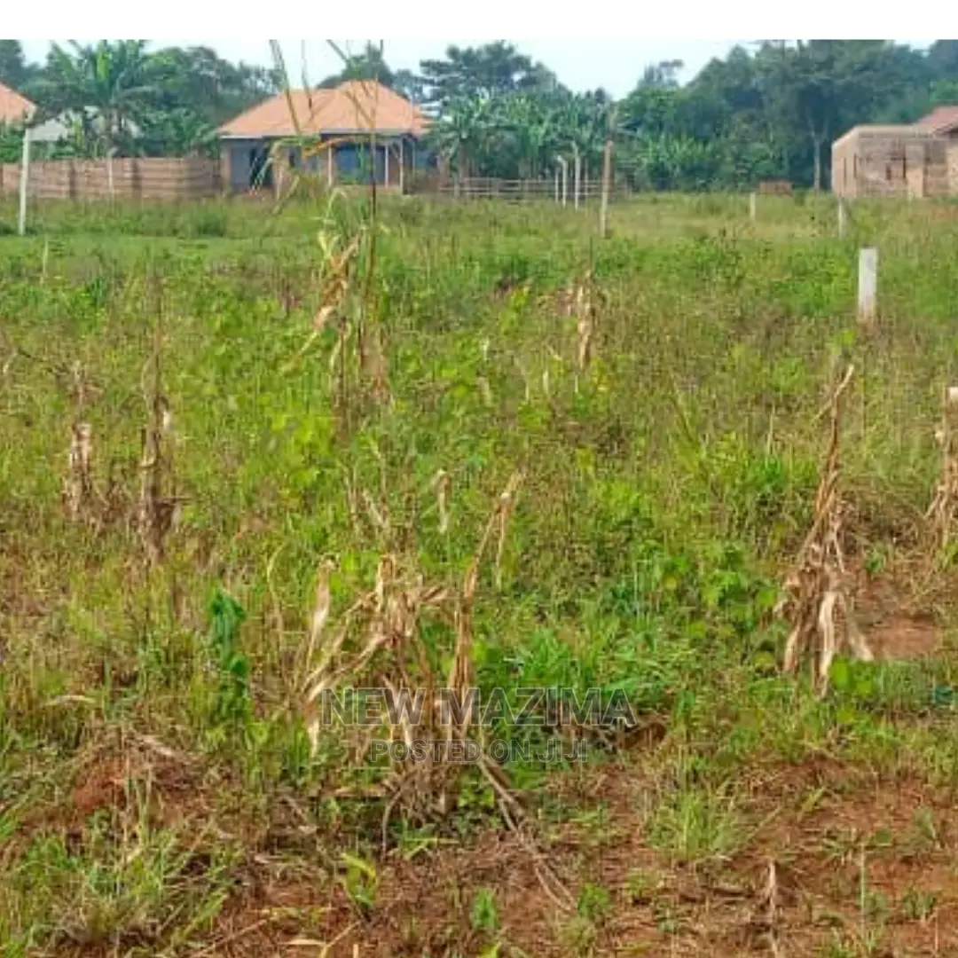 Affordable Private Mile Land Titled Plot Onsale Buloba in Division A