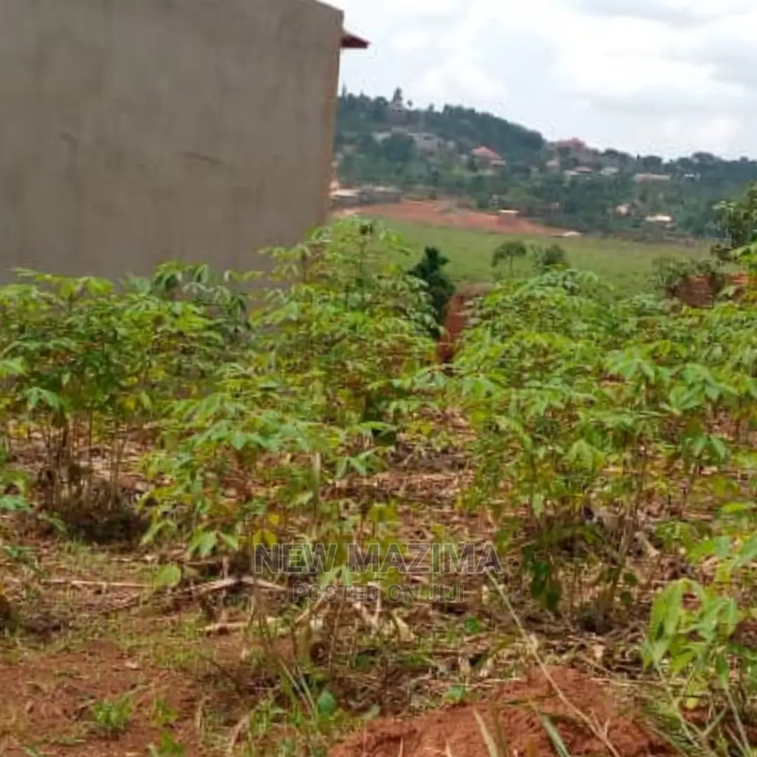 Affordable Private Mile Land Titled Plot Onsale Buloba in Division A
