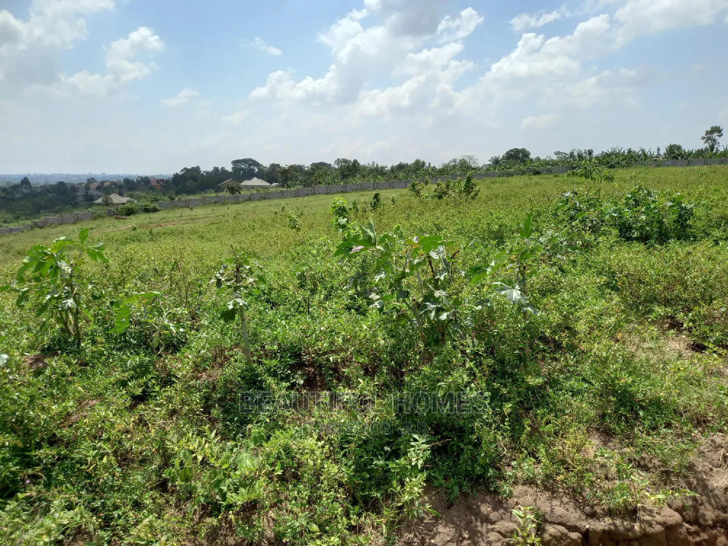 Kira Two Posh Plots on Sell in Kira
