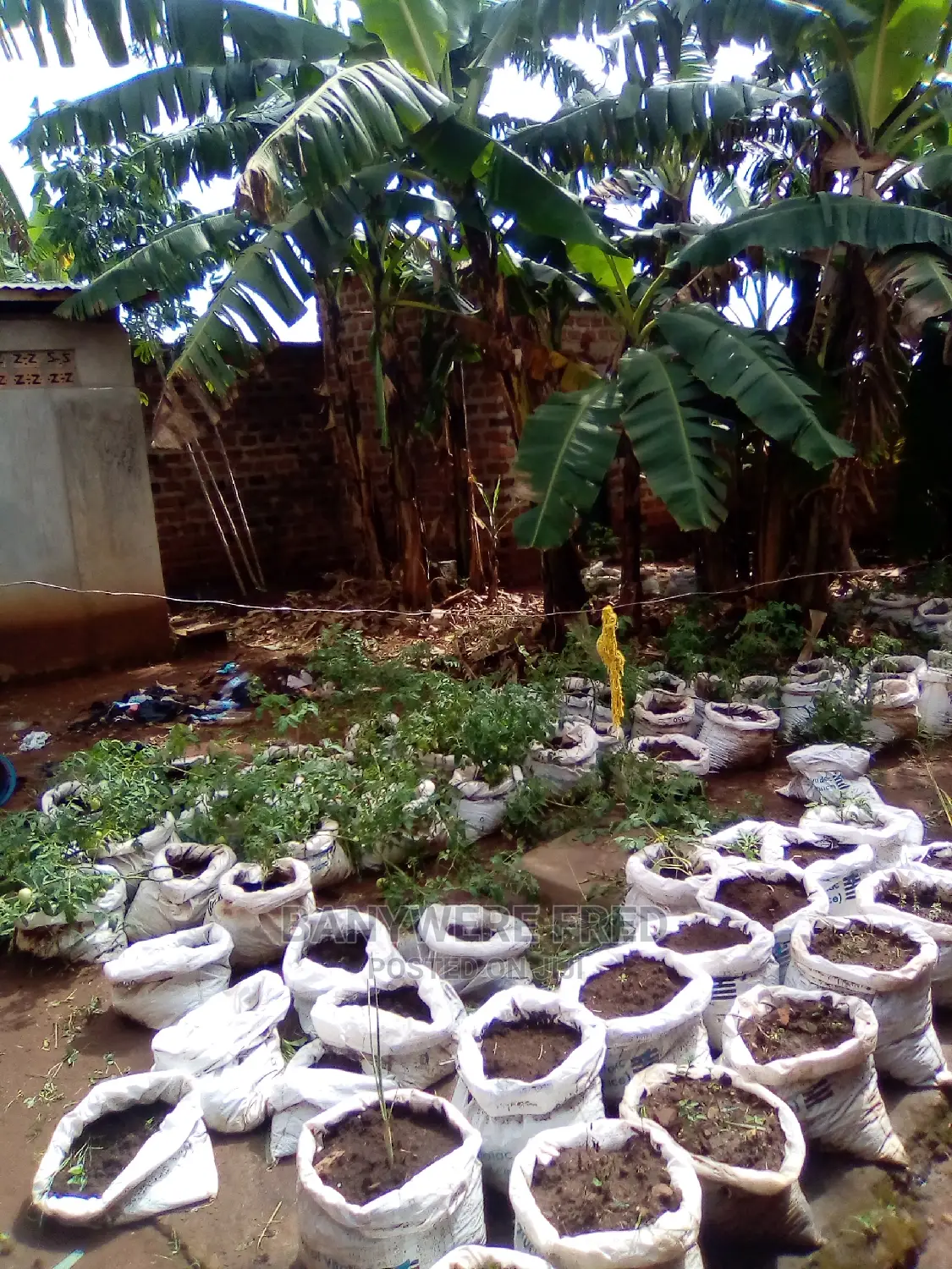 50/100 Plot For Sale In Kagala in Goma