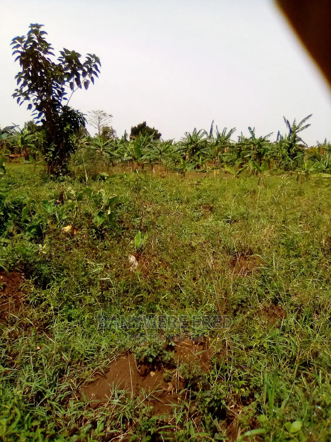 5acres Of Farmland In Kamengo in Kamengo