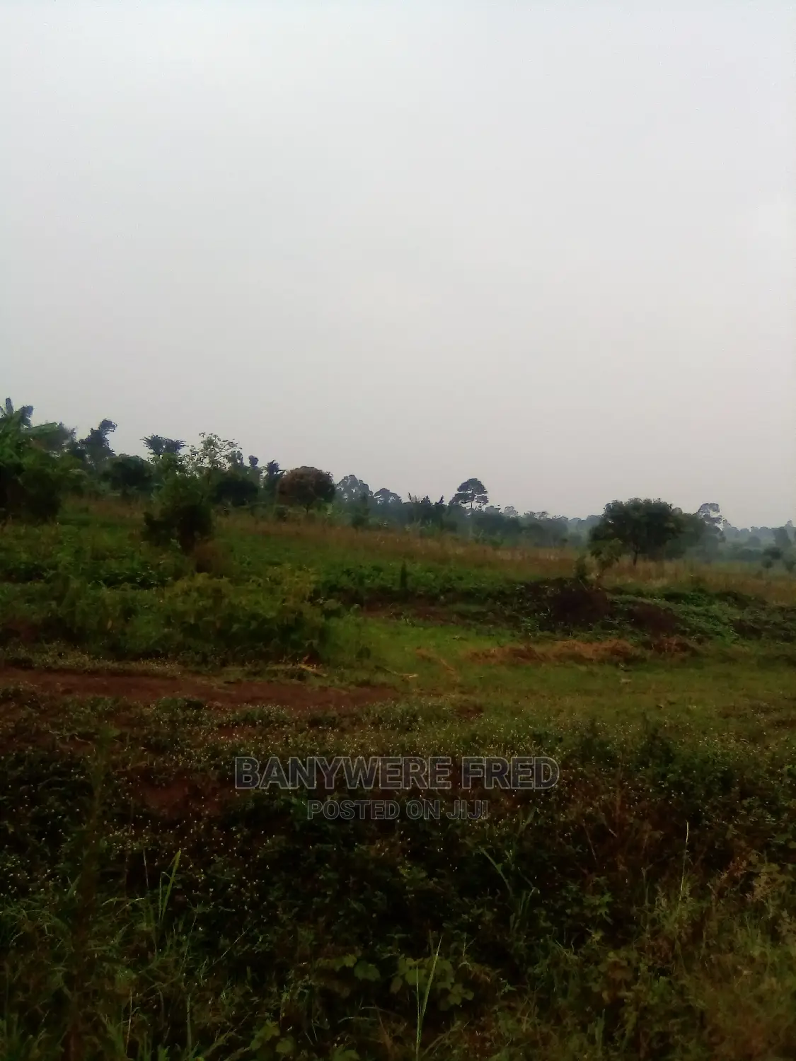 3acres of Farmland for Sale in Kamuli District in Jinja