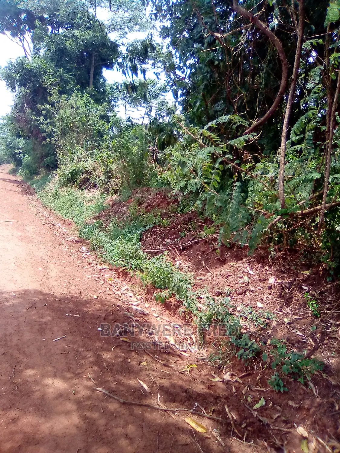 2acre of Land for Sale in Kamuli in Jinja