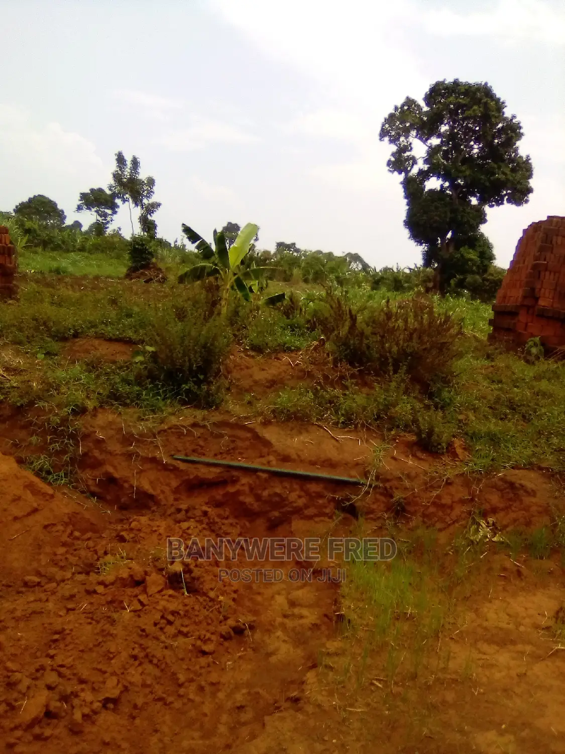 50/100 Plot for Sale in Kamuli District in Jinja