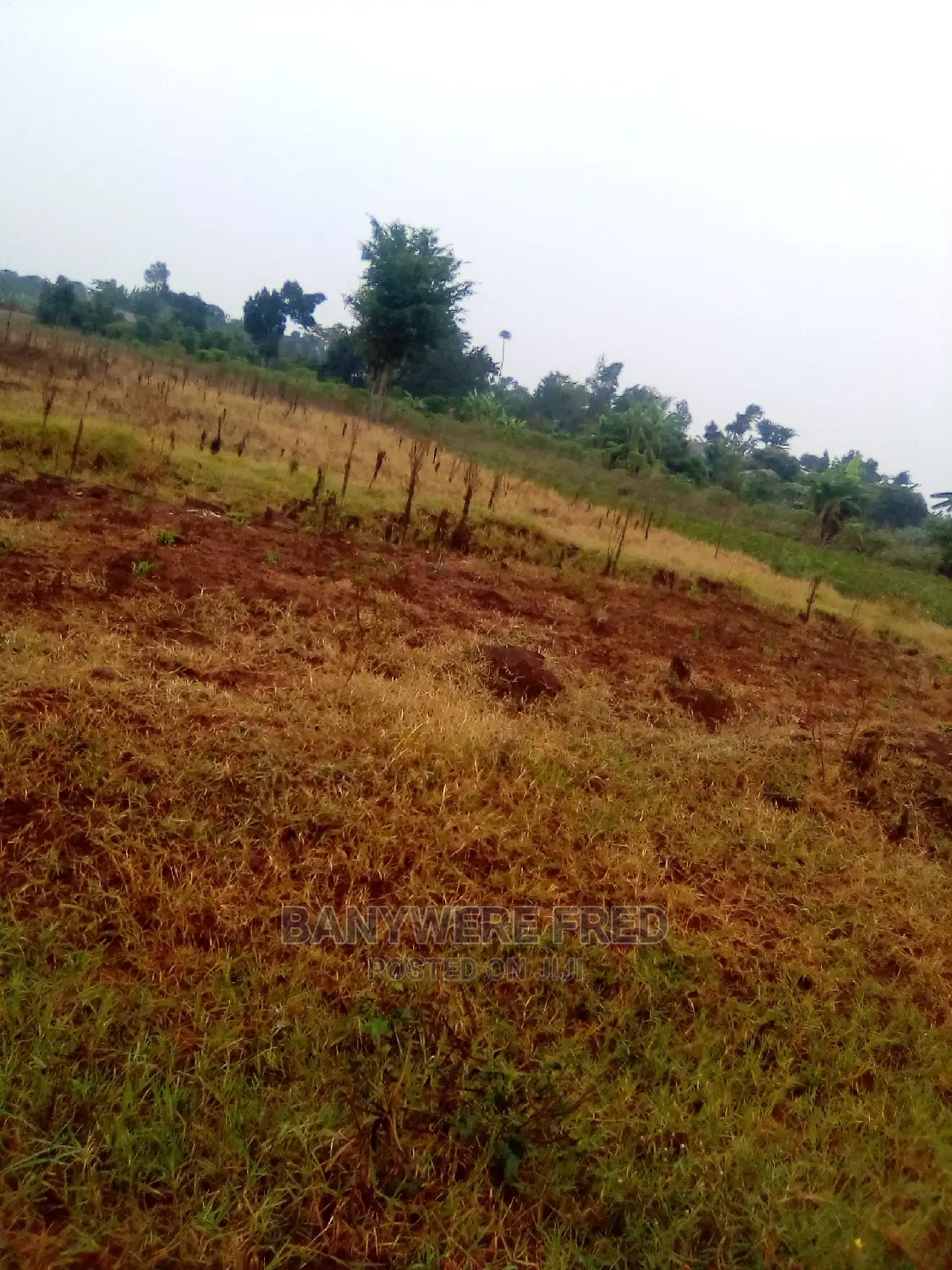 1acre of Land for Sale in Jinja in Jinja