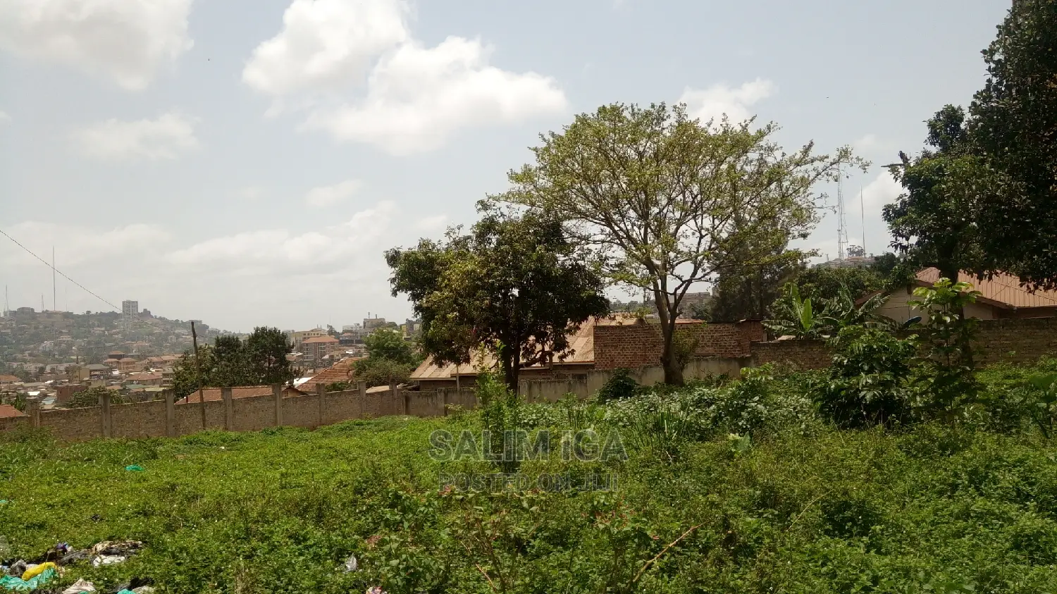 Prime Land in Central Division