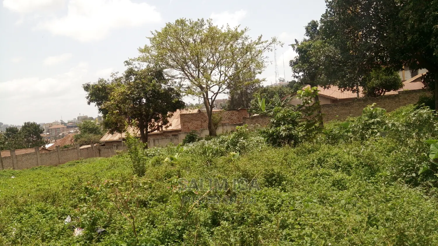 Prime Land in Central Division