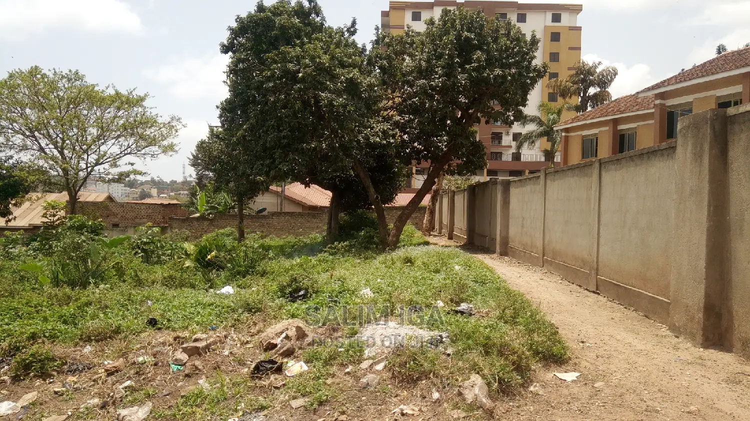 Prime Land in Central Division