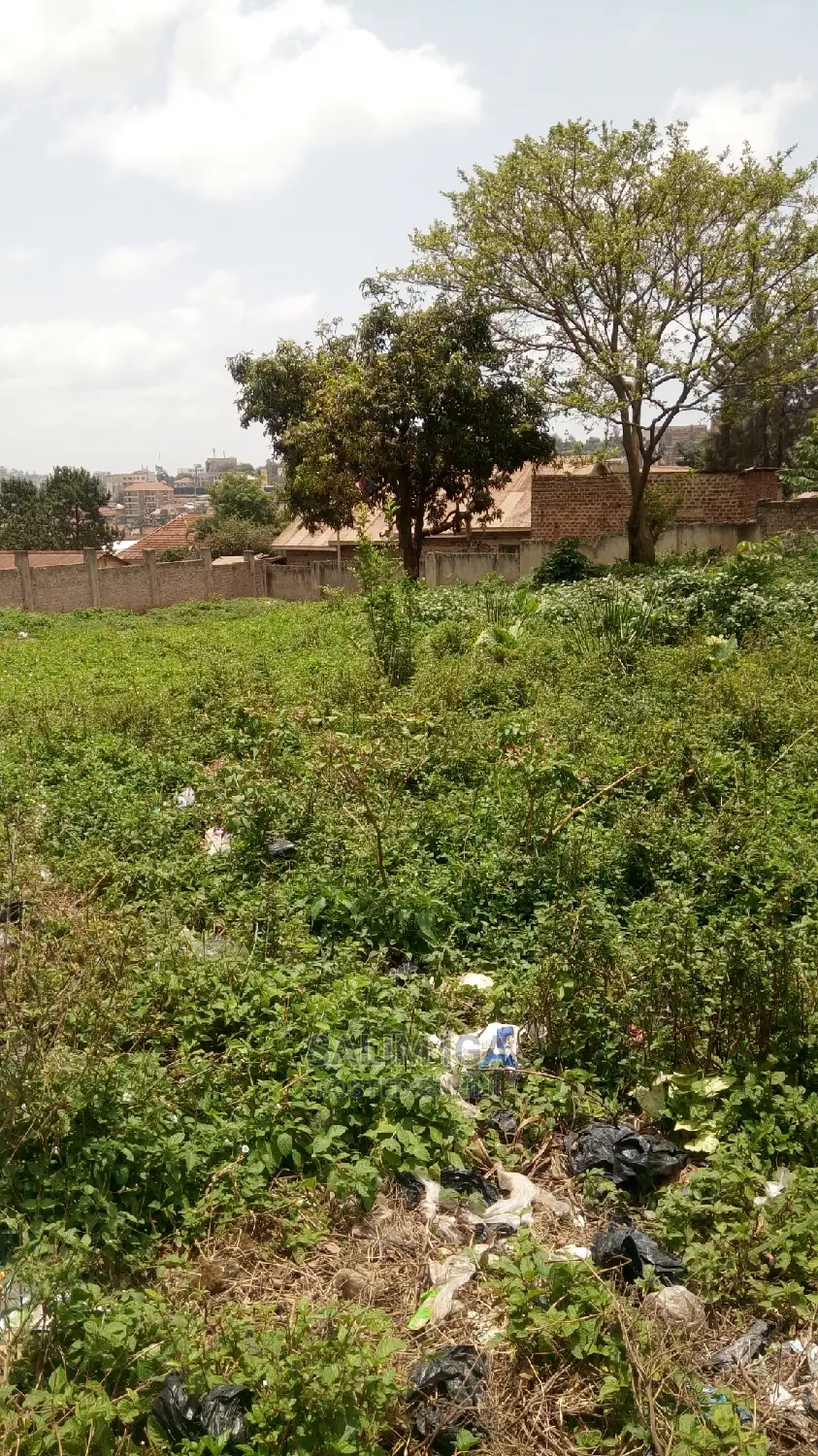 Prime Land in Central Division