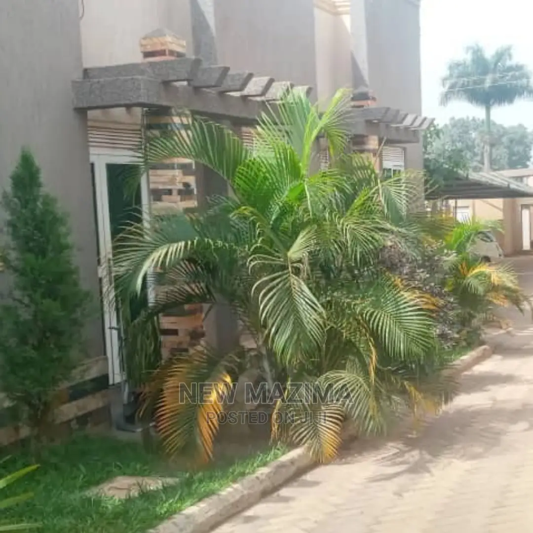 Furnished 1bdrm House in Munyonyo, Central Division for Rent in Central Division