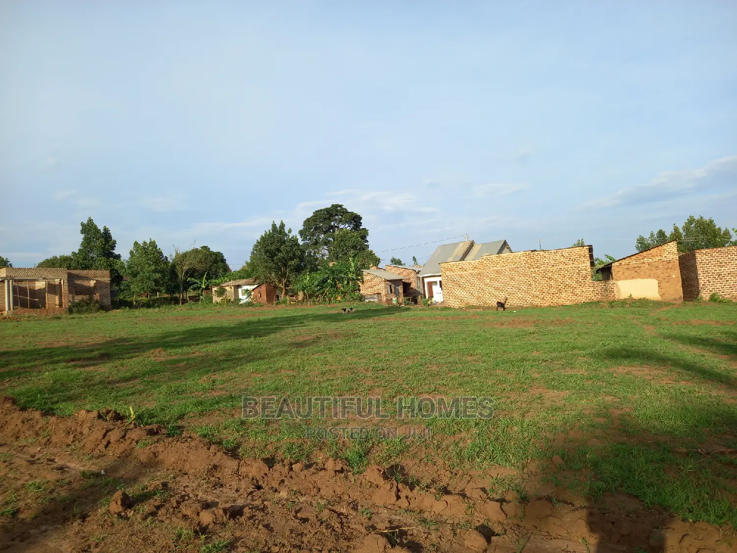 Buwambo Beautiful Land on Sell in Nangabo