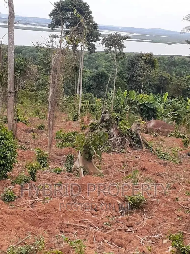 120acres of Land for Sale at Bussi Island in Entebbe in Wakiso / Wakiso