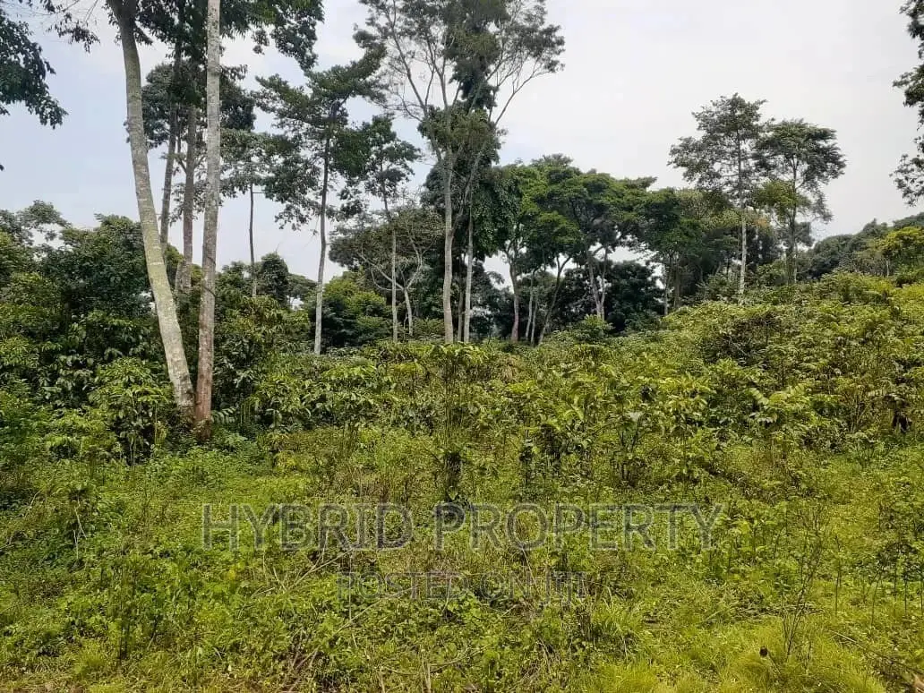 120acres of Land for Sale at Bussi Island in Entebbe in Wakiso / Wakiso