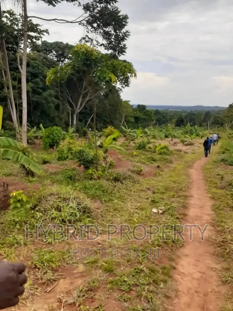 120acres of Land for Sale at Bussi Island in Entebbe in Wakiso / Wakiso