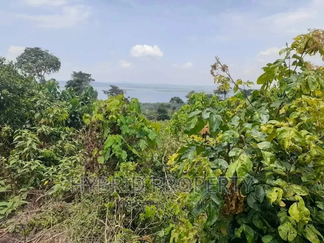 120acres of Land for Sale at Bussi Island in Entebbe in Wakiso / Wakiso