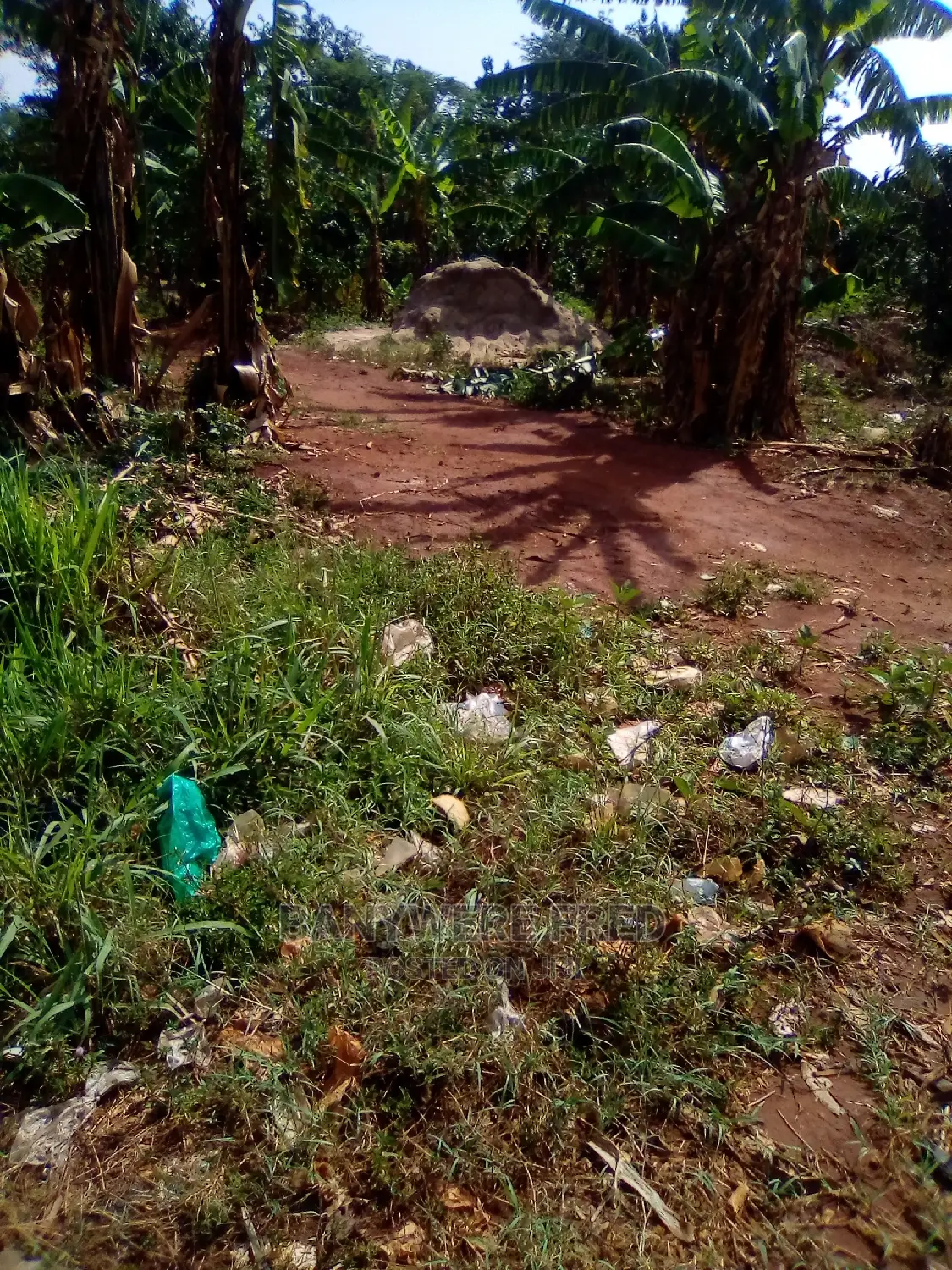 50/100 Plot for Sale in Ziba in Kikyusa