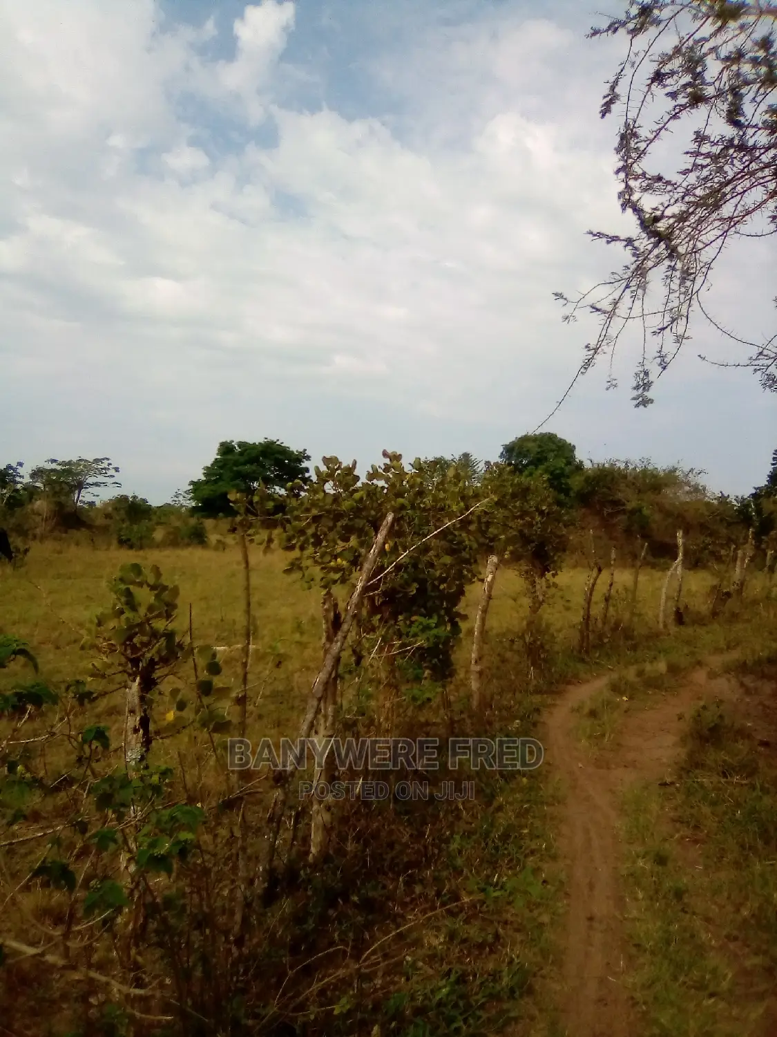 10acres of Farmland for Sale in Sebinyonyi in Kikyusa