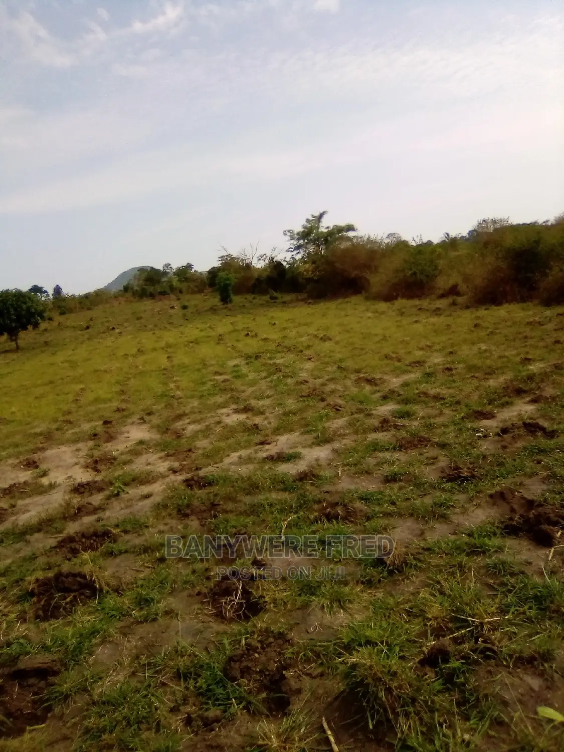 5acres of Farmland in Makulubita in Makulubita