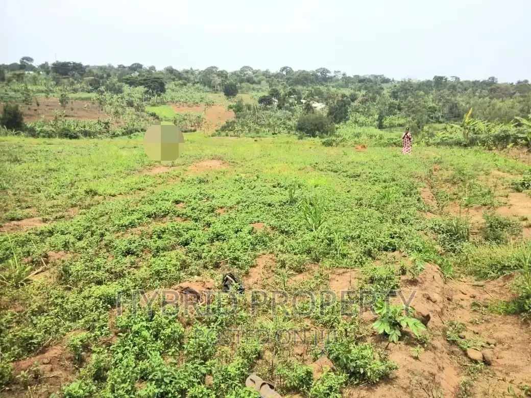 Plots for Sale at Matugga~Kiwebwa Estate Along Semuto Road in Busukuma