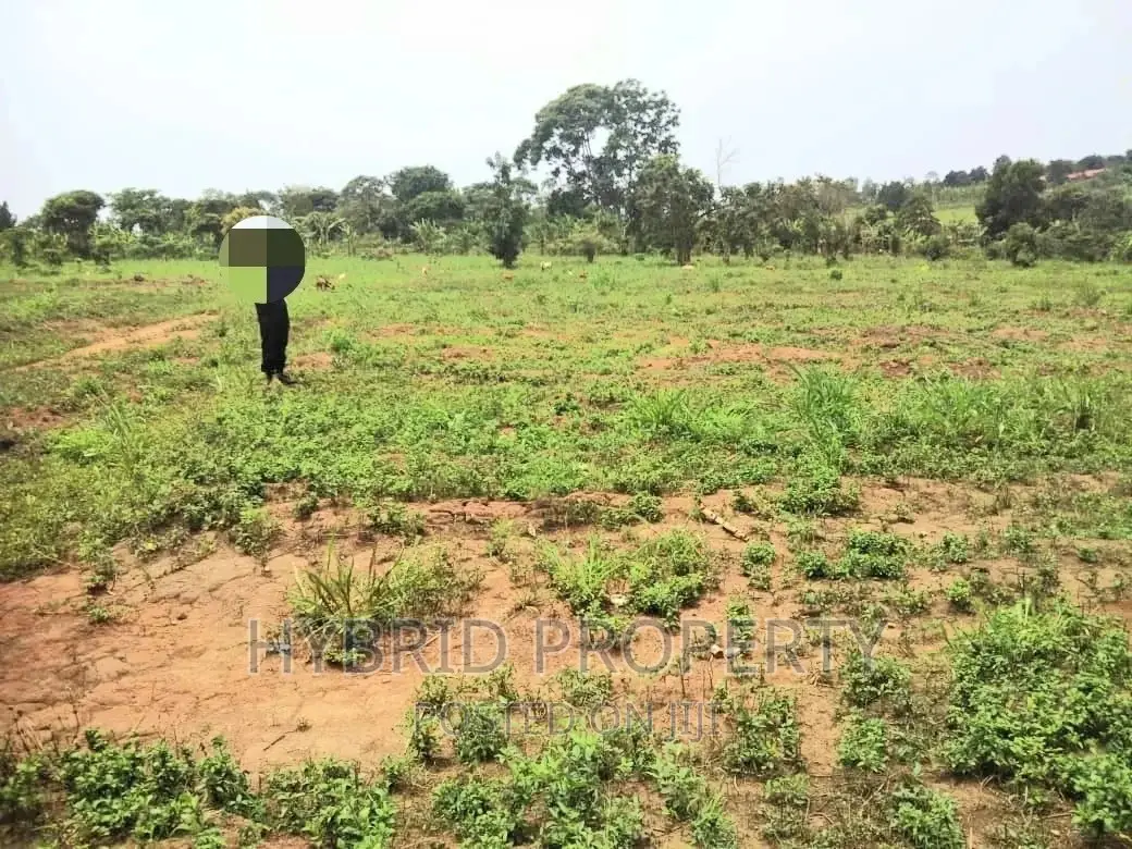 Plots for Sale at Matugga~Kiwebwa Estate Along Semuto Road in Busukuma
