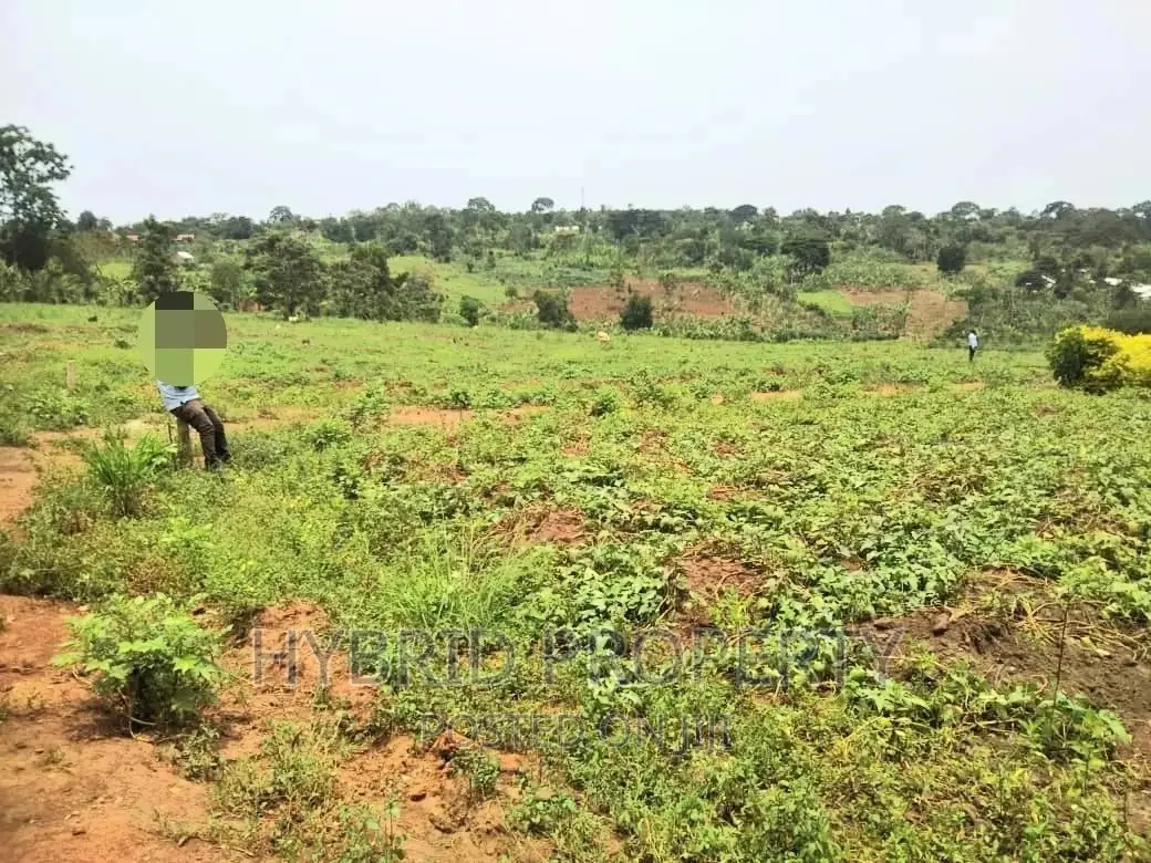 Plots for Sale at Matugga~Kiwebwa Estate Along Semuto Road in Busukuma