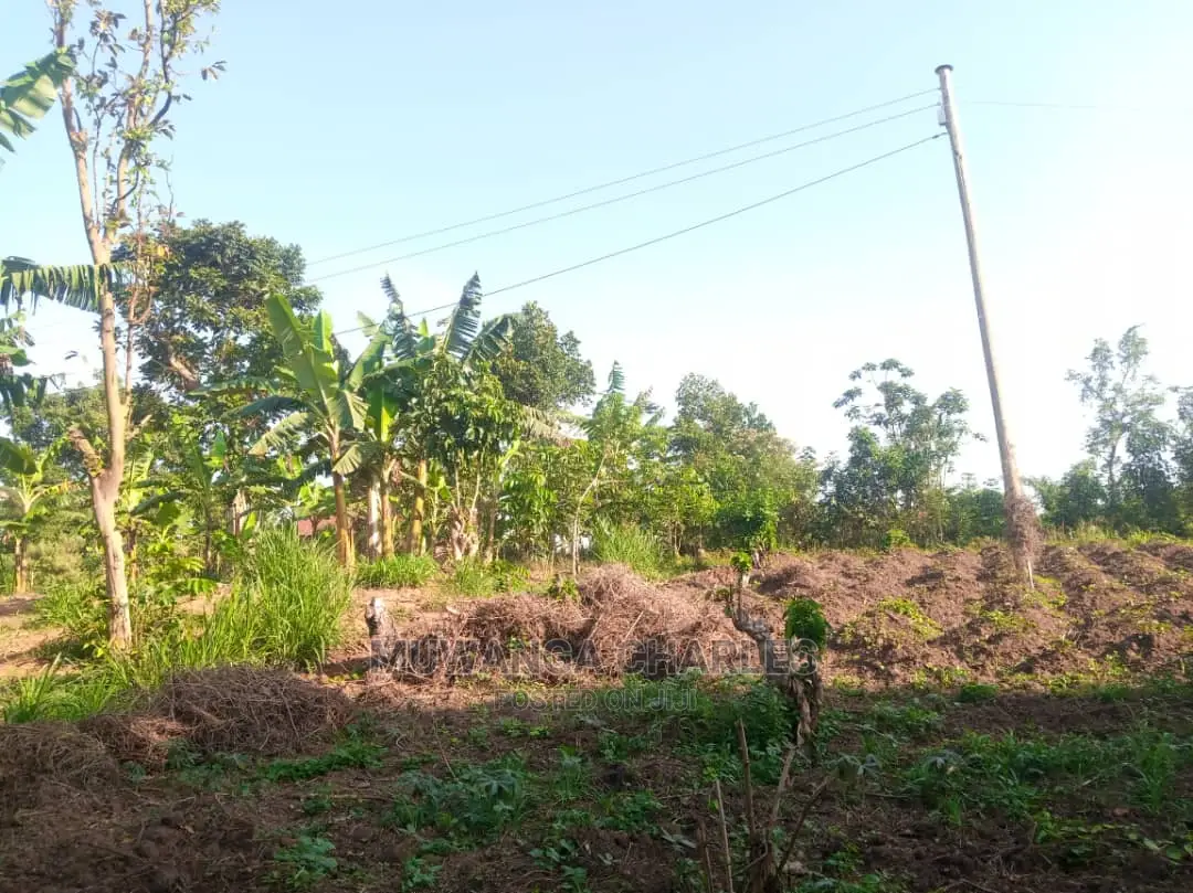 100by50ft Plot for Sale in Kira in Central Division