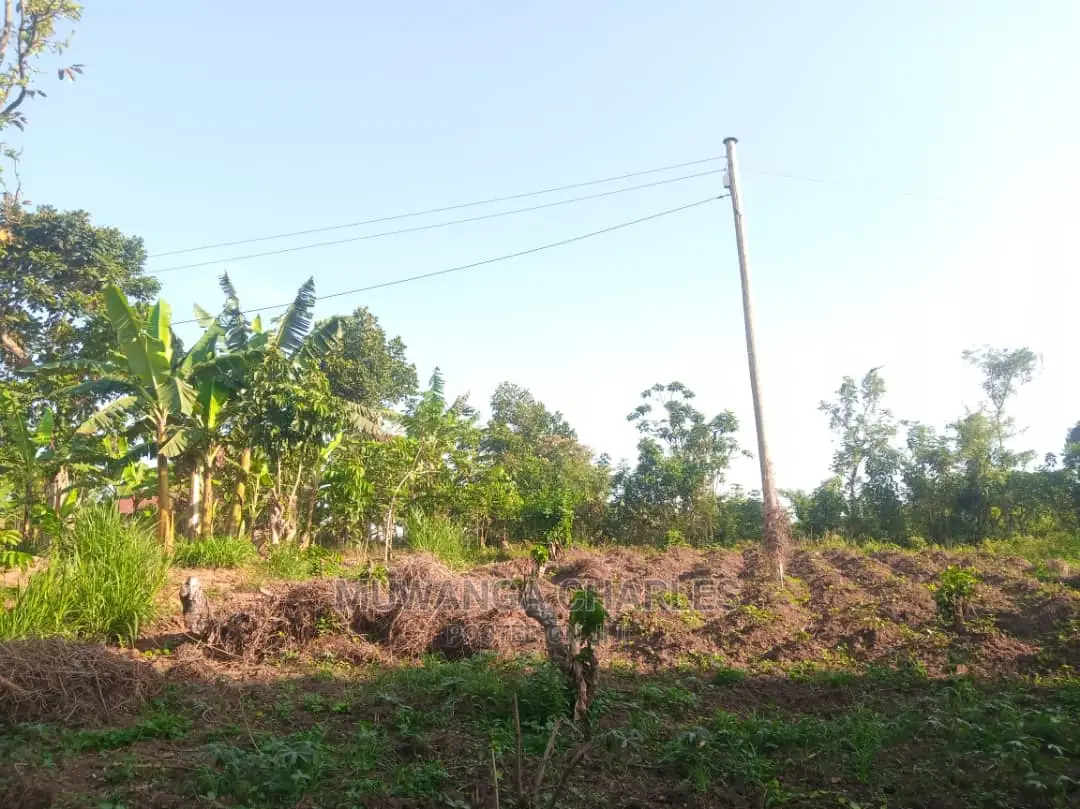 100by50ft Plot for Sale in Kira in Central Division
