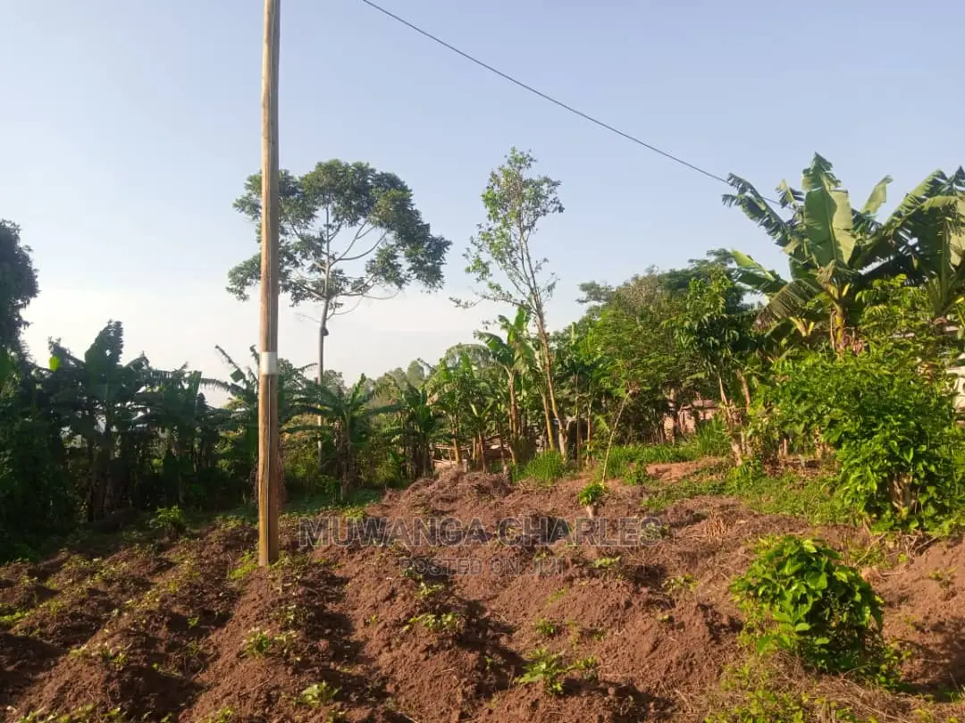 100by50ft Plot for Sale in Kira in Central Division