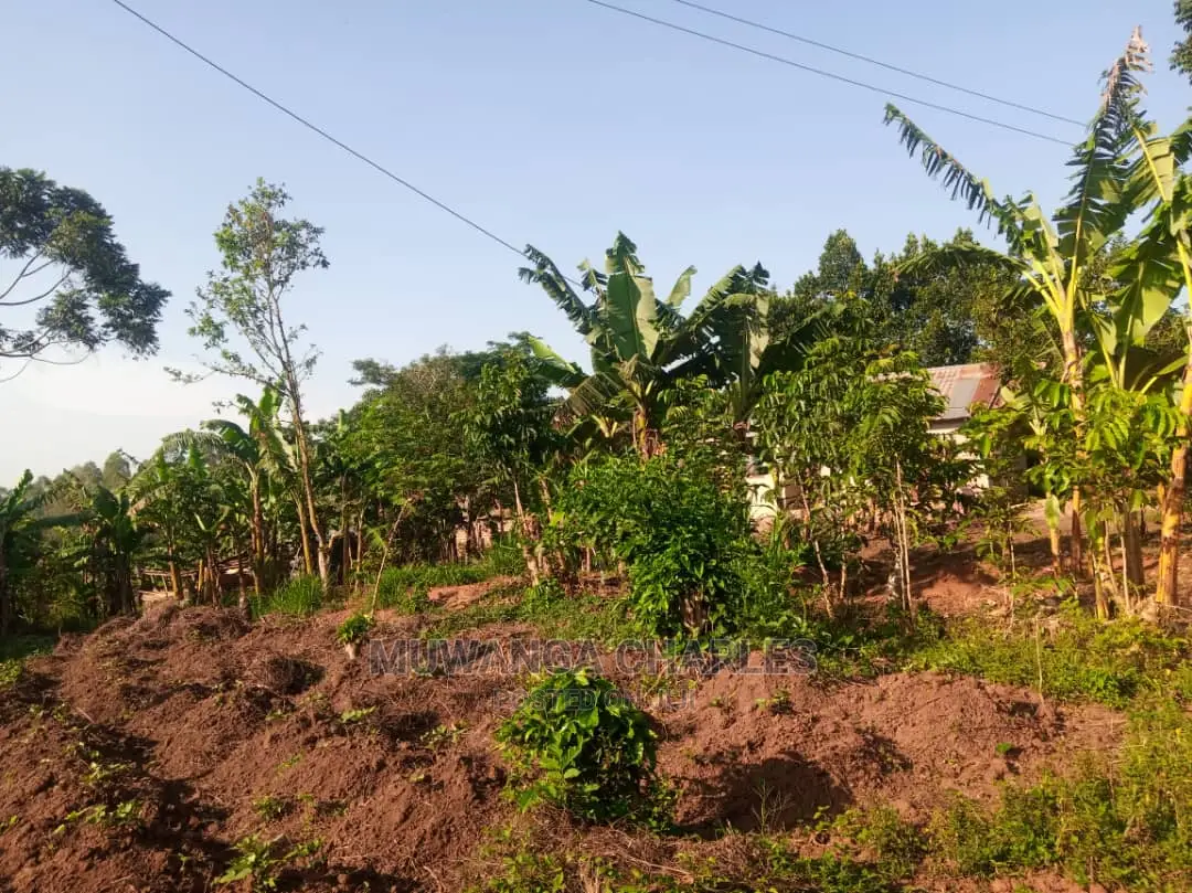 100by50ft Plot for Sale in Kira in Central Division