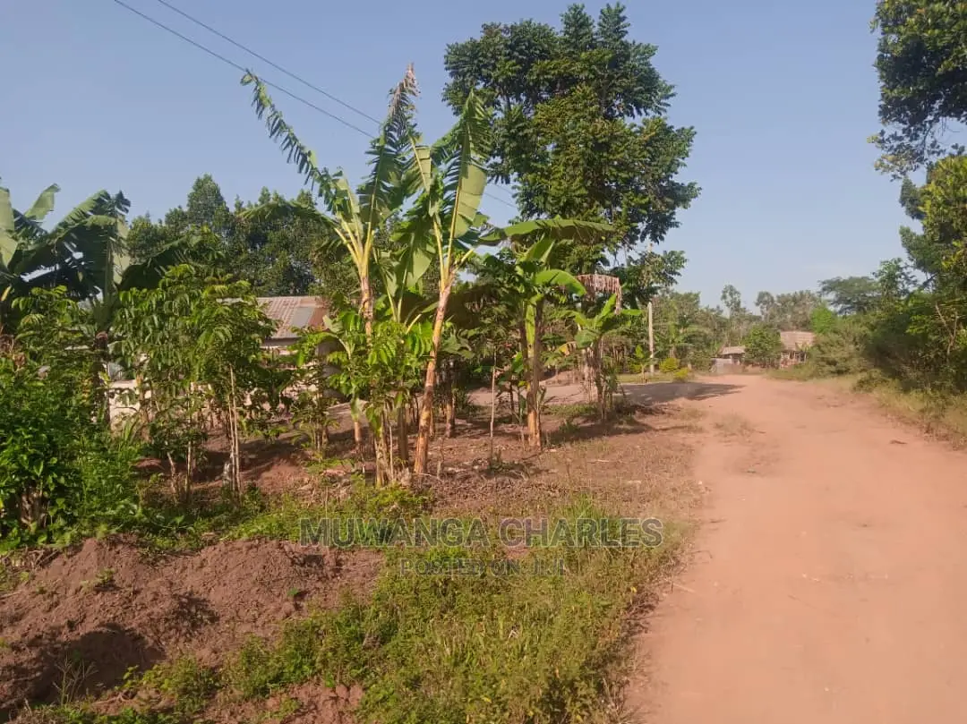 100by50ft Plot for Sale in Kira in Central Division