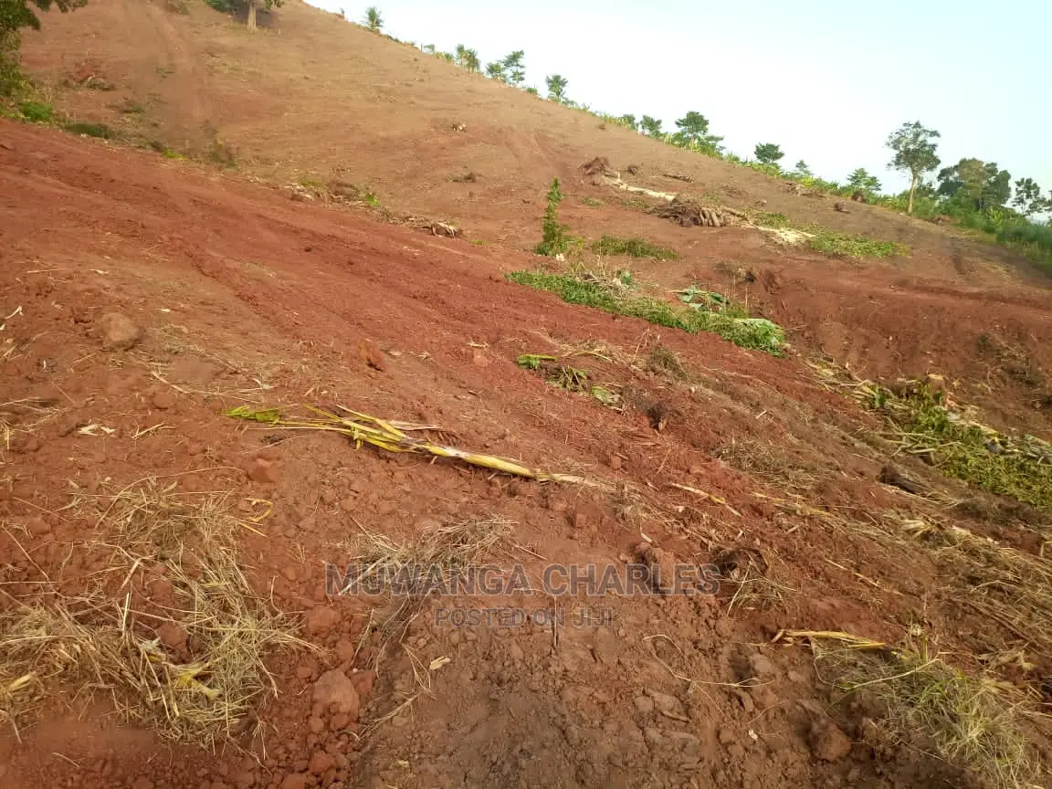 100by50ft Plot of Land for Sale in Nakwero in Central Division