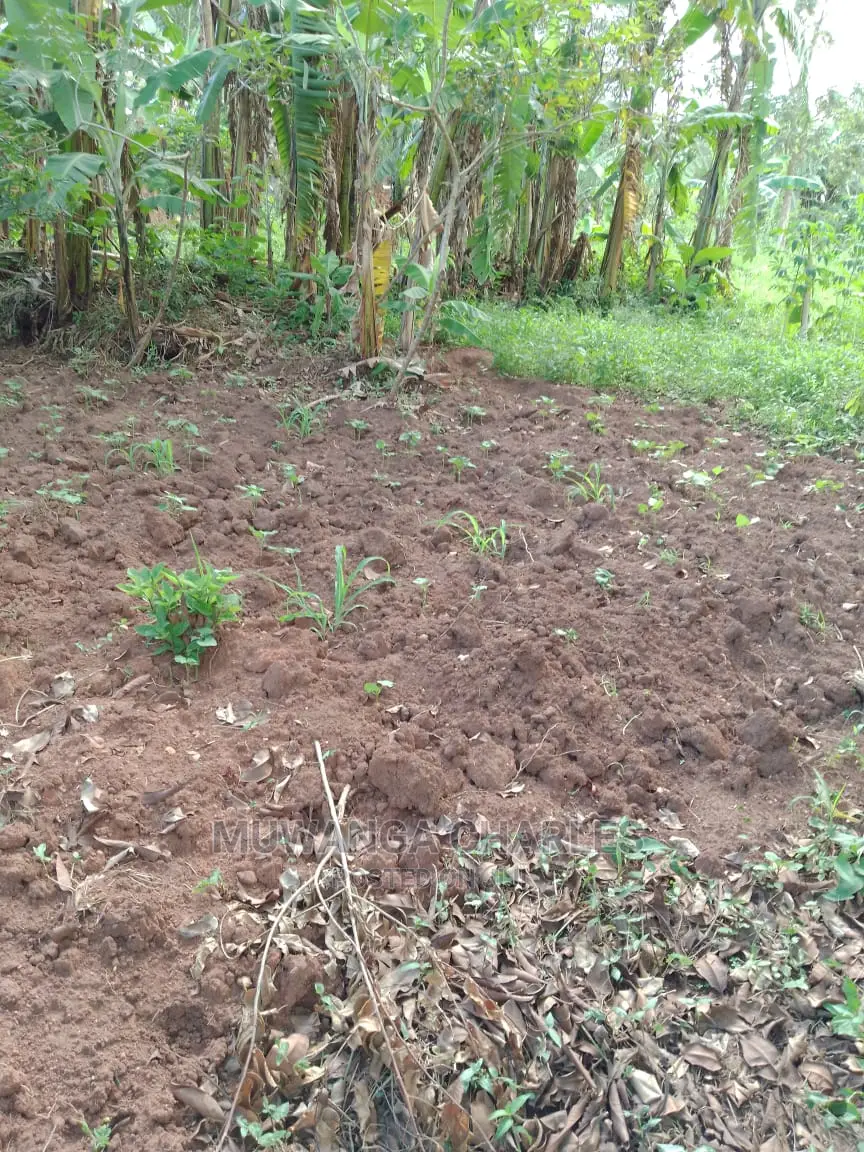 100by50ft of Land for Sale in Gayaza Nakwero in Central Division