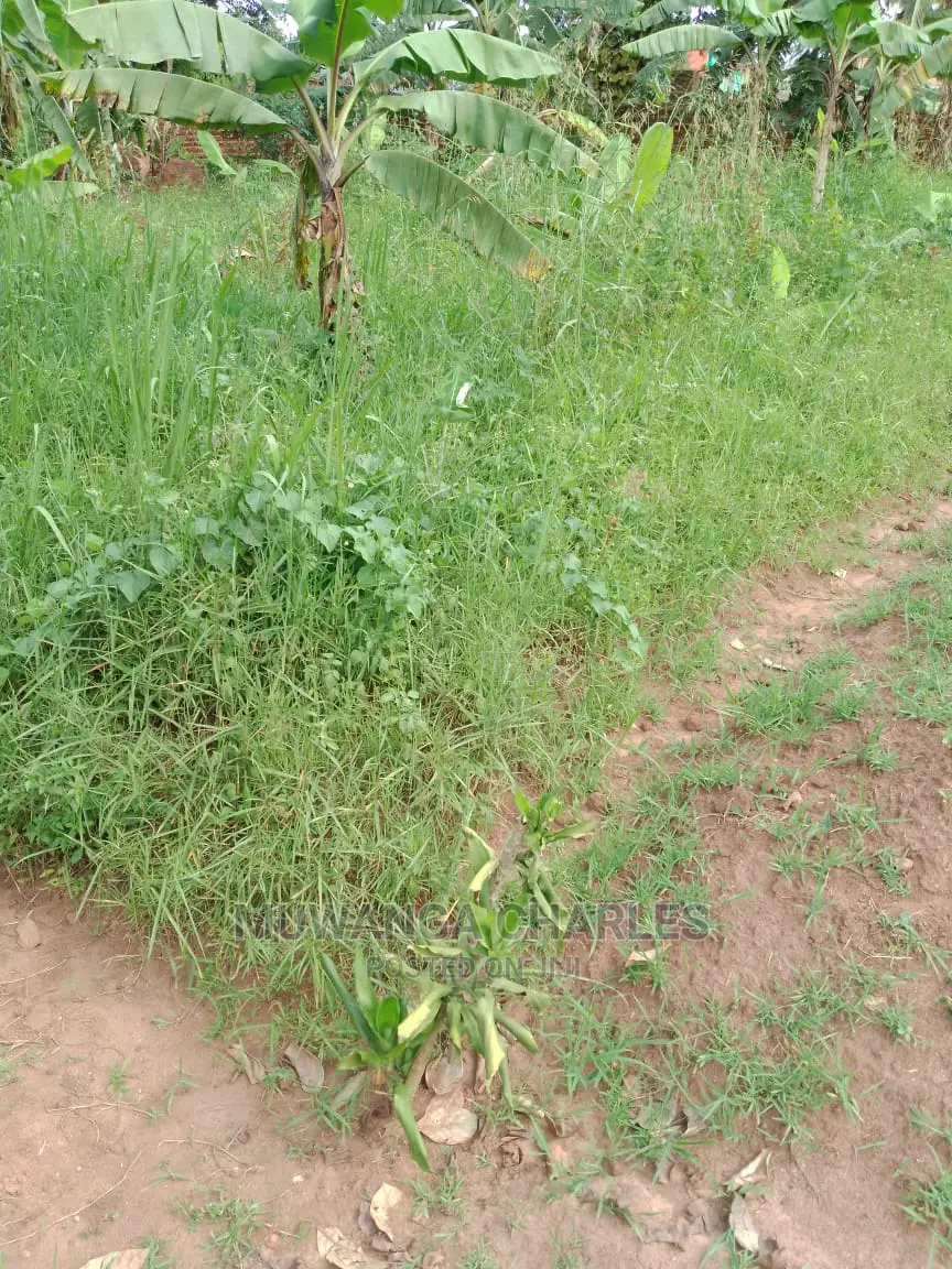 100by50ft of Land for Sale in Gayaza Nakwero in Central Division