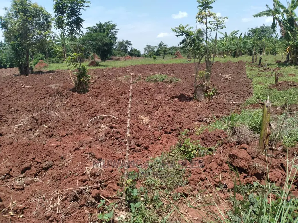 5acres of Land for Sale in Wabutungulu in Central Division