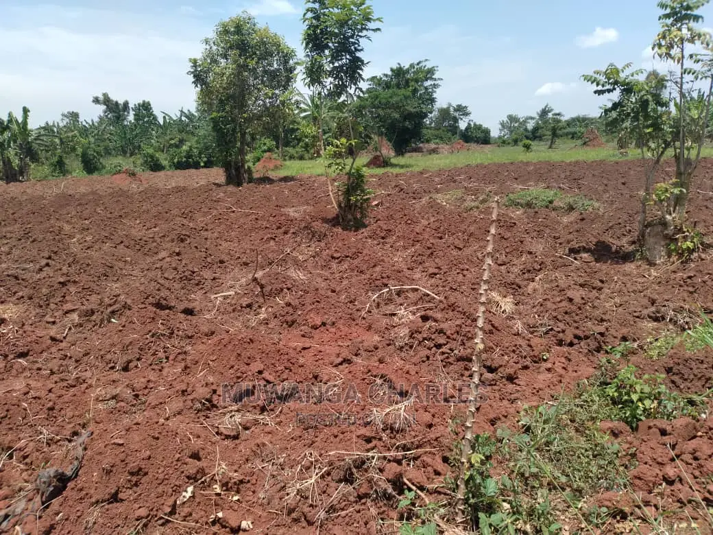 5acres of Land for Sale in Wabutungulu in Central Division