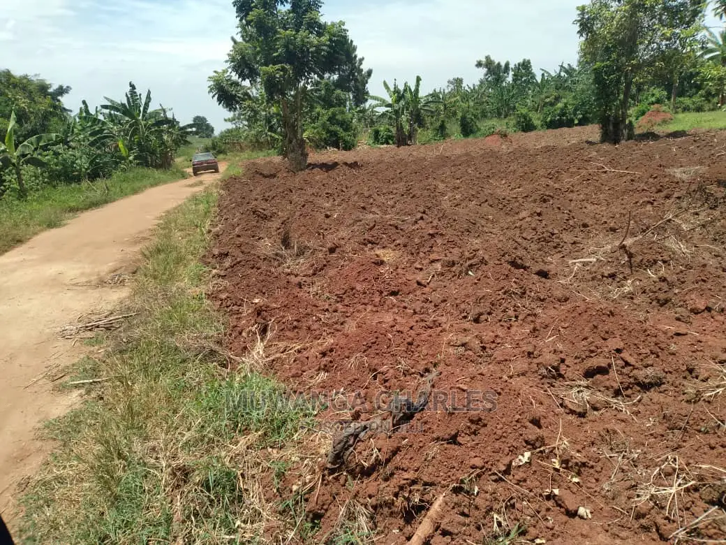 5acres of Land for Sale in Wabutungulu in Central Division
