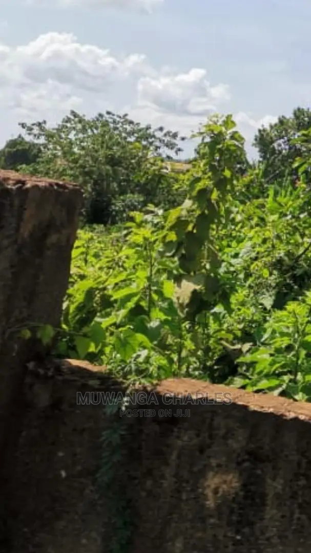 100by100ft Plot of Land for Sale in Buwate in Central Division