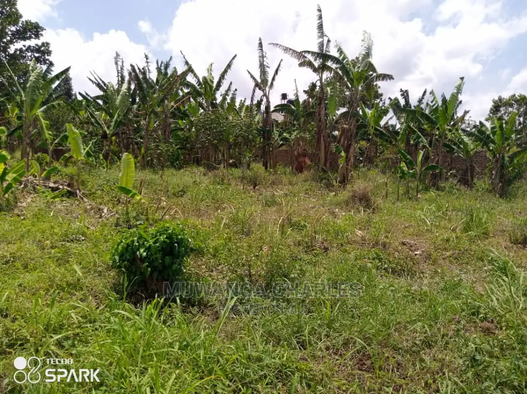 100x100ft Plot of Land for Sale in Bueate in Central Division